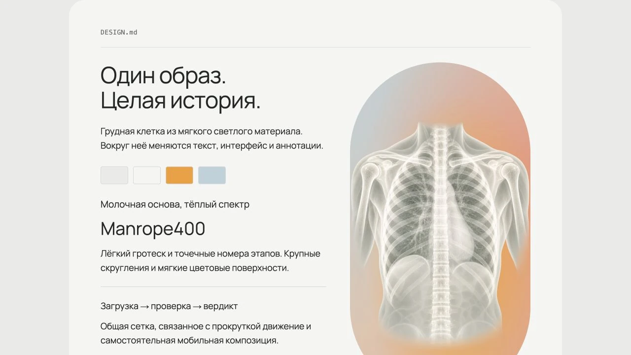 Визуальный план «Денсио» из среды: главный образ, палитра, типографика и поведение.